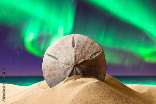 Sand Dollar with aurora borealis