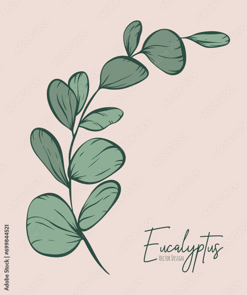 Botanical elegant line illustration of a eucalyptus leaves branch for wedding invitation and cards, logo design, web, social media and poster, template, advertisement, beauty and cosmetic industry.	