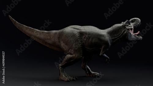 Fototapeta Naklejka Na Ścianę i Meble -  Tyrannosaurus Rex Stan render of background. 3d rendering