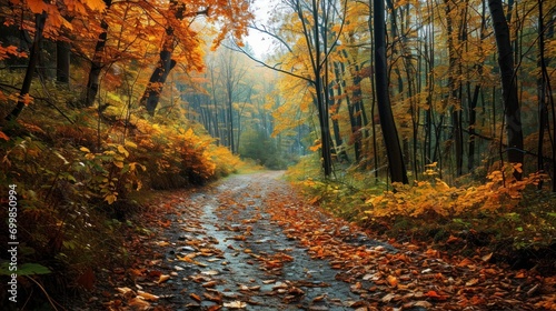 A colorful autumn forest landscape with a winding path
