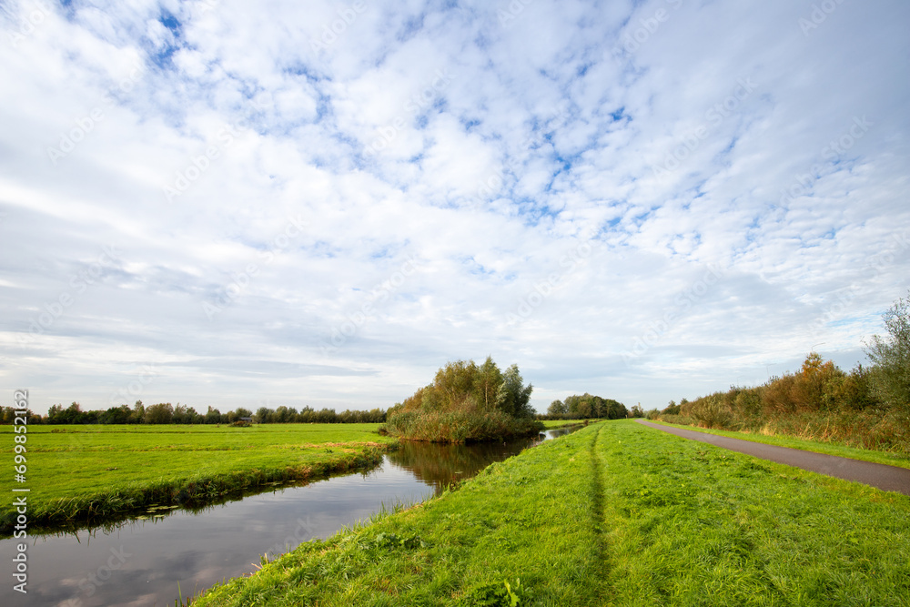 Obraz premium Polder landscape with a single stepping stone in a series for connecting remote nature reserves in Zaanse Rietveld to Project IJsvogel, Spookverlaat towards De Wilck