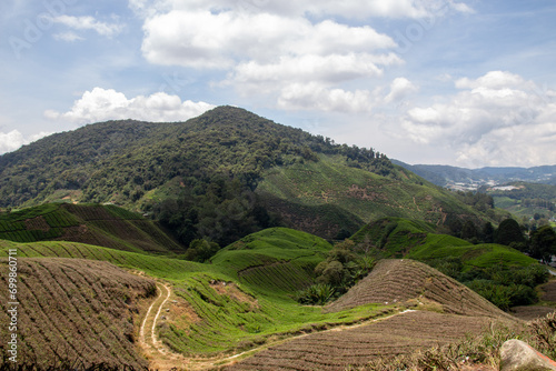 Lush green hills with terraced fields under a cloudy sky