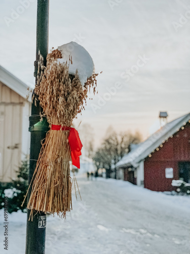 Close-up of a grain sheaf (fuglenek) hanging on a lamp post in winter, Baerums Verk, Akershus, Norway photo