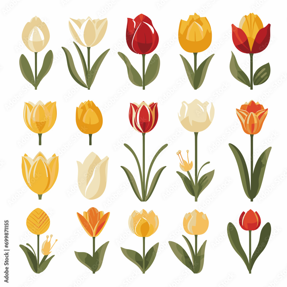 vector collection of tulip flowers