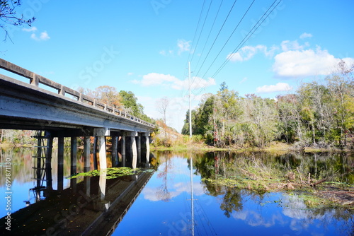The winter landscape of Florida Trail and Hillsborough river 