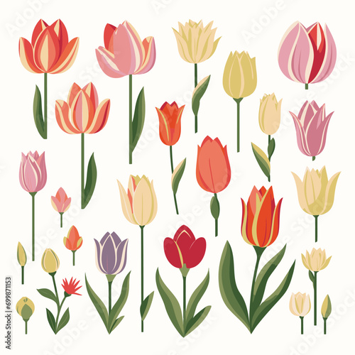 vector collection of tulip flower