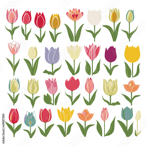 vector collection of tulip flowers