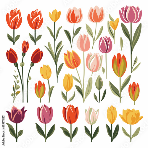 vector collection of tulip flowers