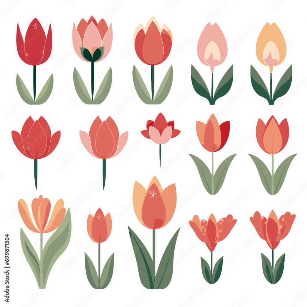 Obraz premium vector collection of tulip flower