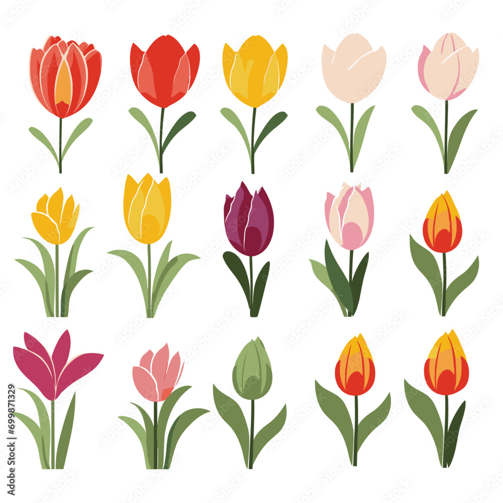 vector collection of tulip flower