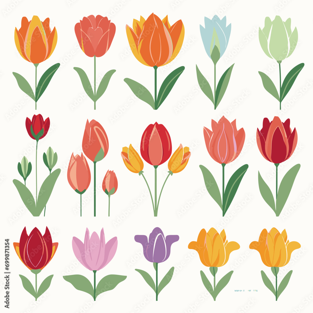 vector collection of tulip flower