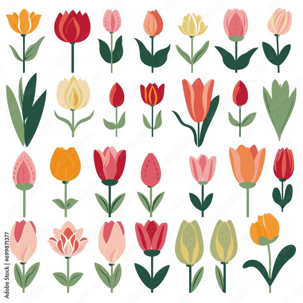 vector collection of tulip flower vector collection of tulip flower