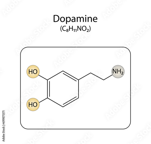 Dopamine structural chemical formula. Monoamine Neuromodulator. Vector illustration.