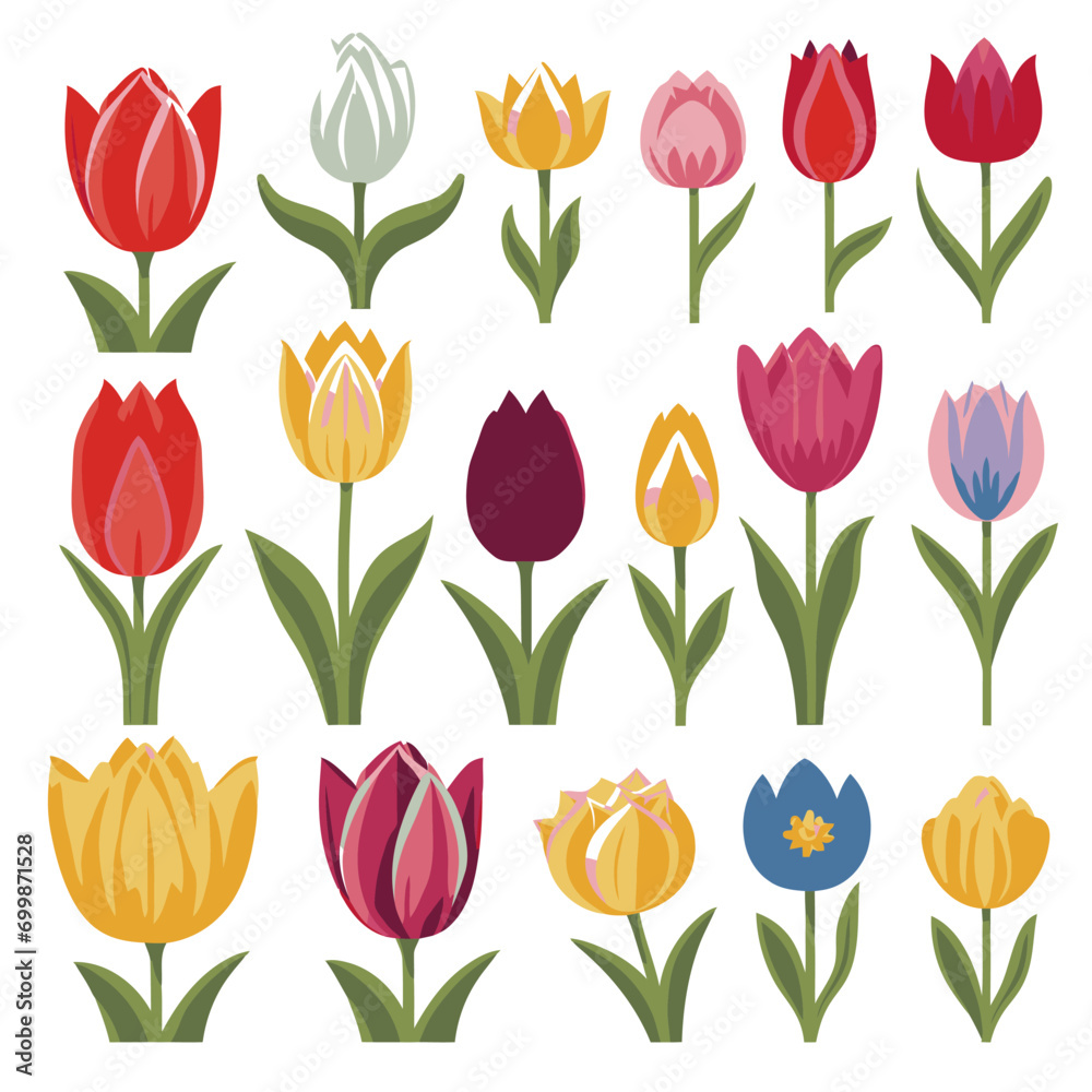vector collection of tulip flowers vector collection of tulip flowers