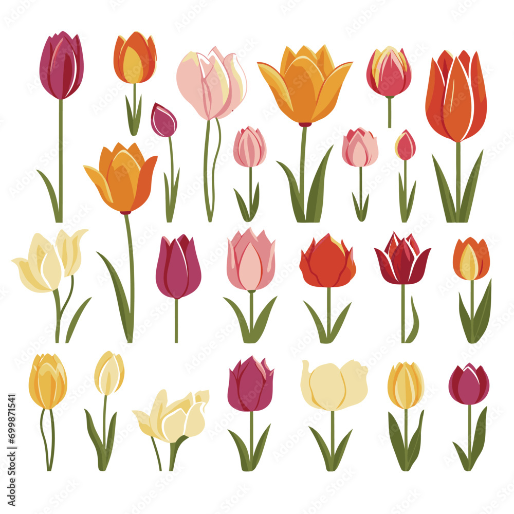 vector collection of tulip flowers vector collection of tulip flowers
