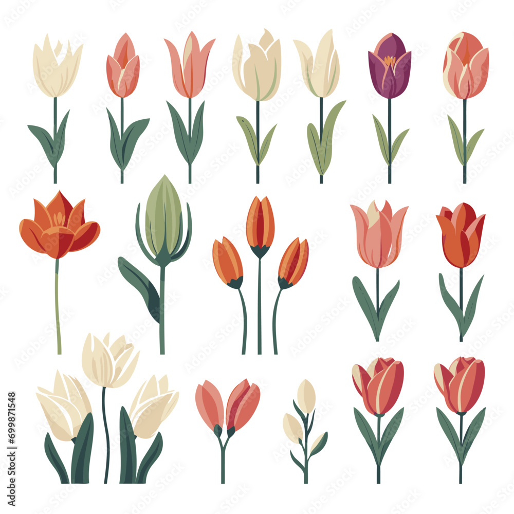 Fototapeta premium vector collection of tulip flowers