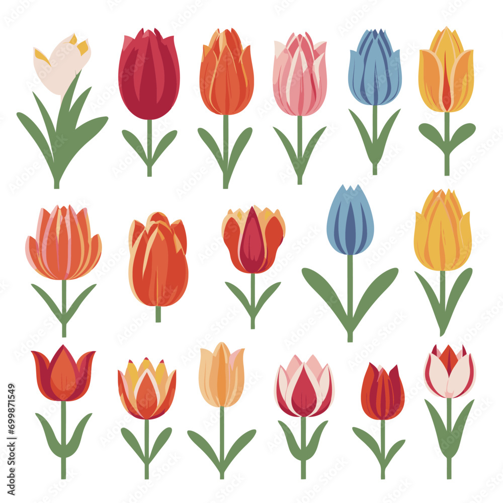 vector collection of tulip flowers vector collection of tulip flowers