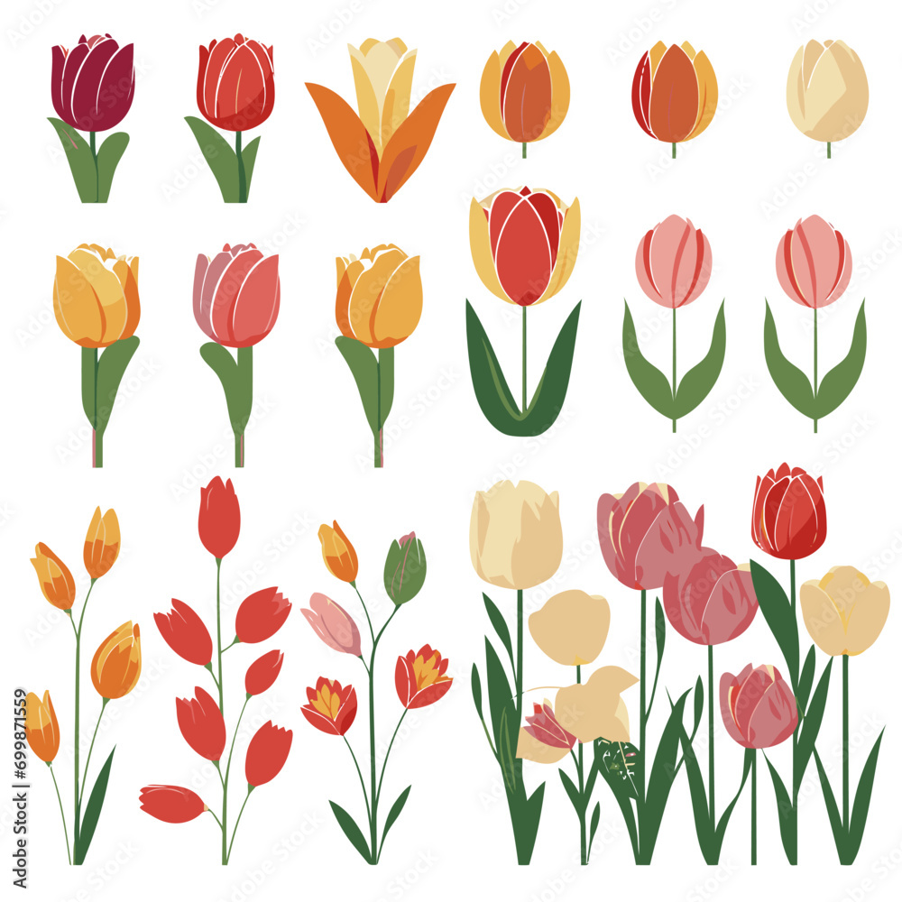 Obraz premium vector collection of tulip flowers