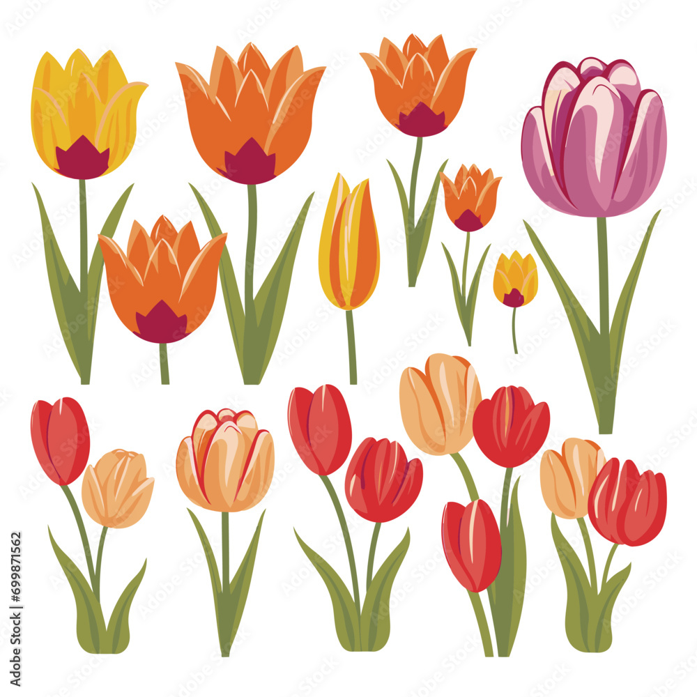 Fototapeta premium vector collection of tulip flowers