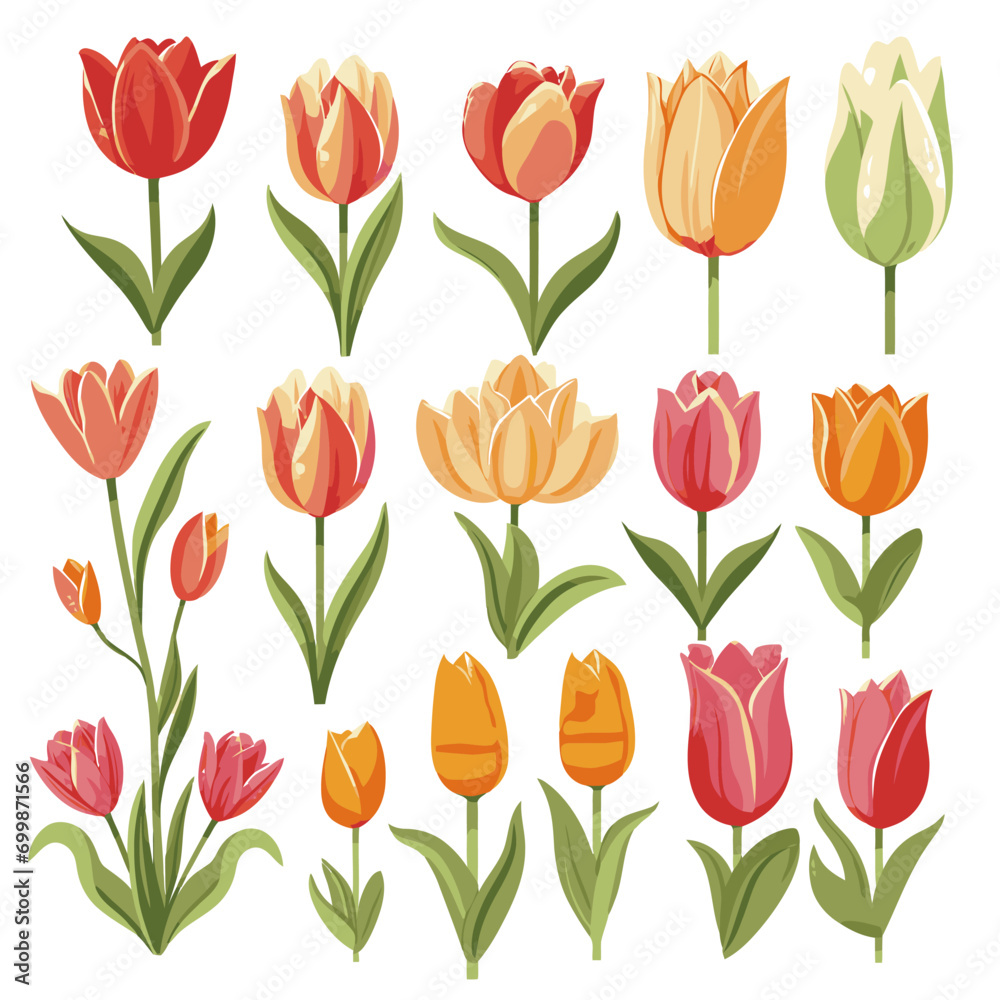 Fototapeta premium vector collection of tulip flowers