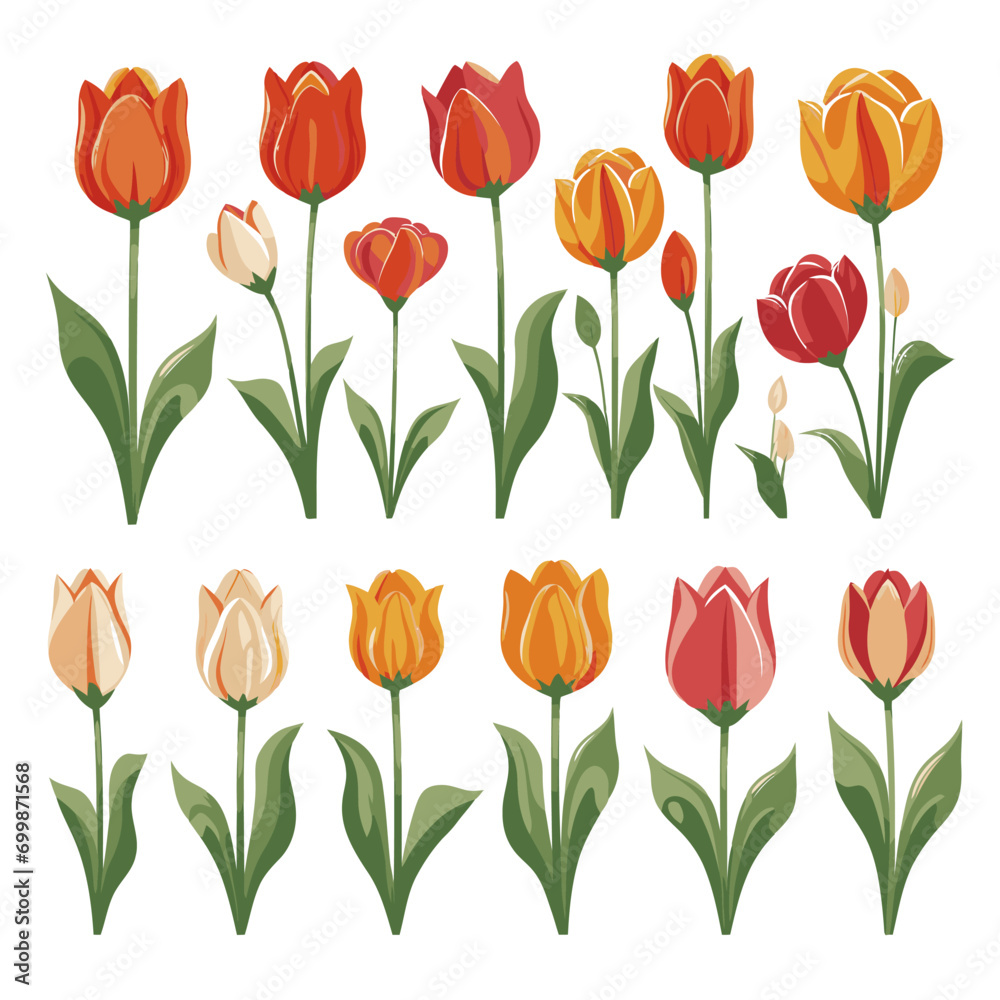 vector collection of tulip flowers
