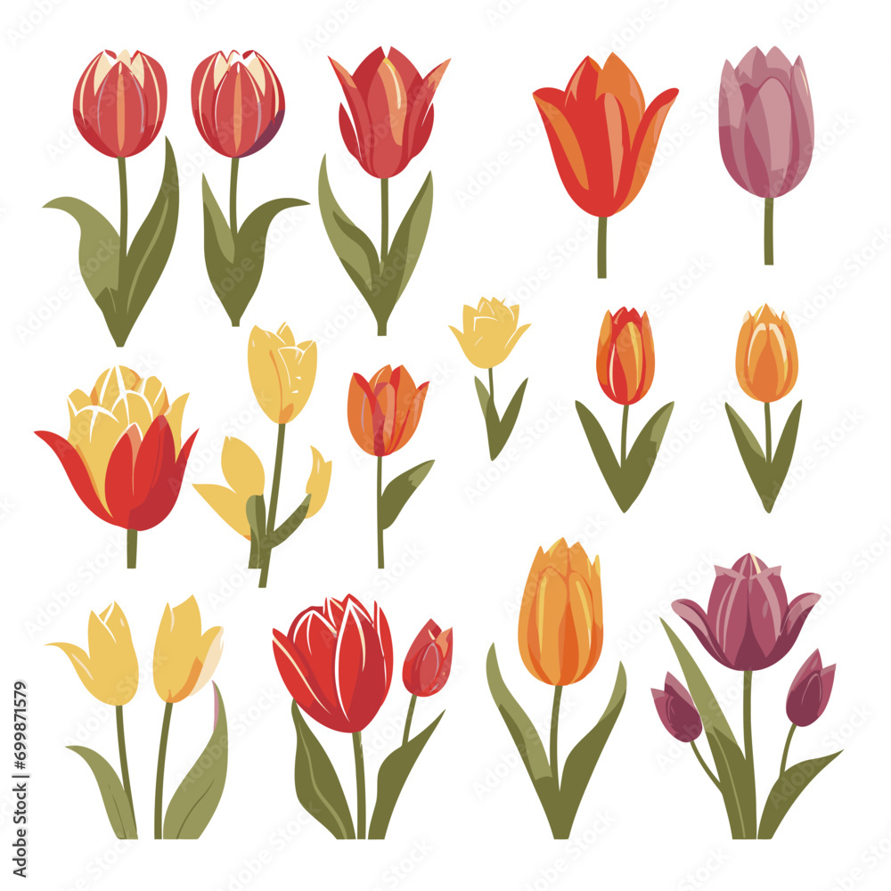 vector collection of tulip flowers vector collection of tulip flowers