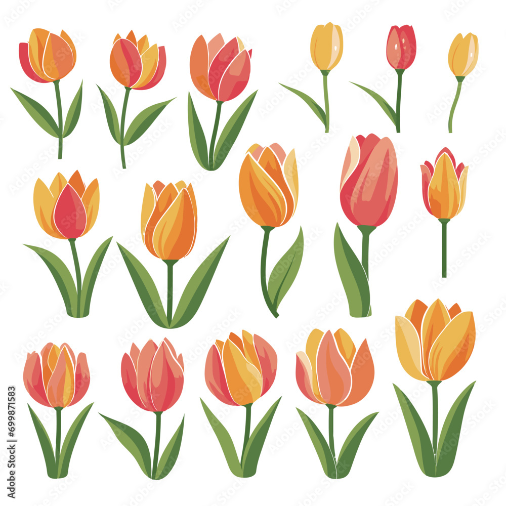 vector collection of tulip flowers