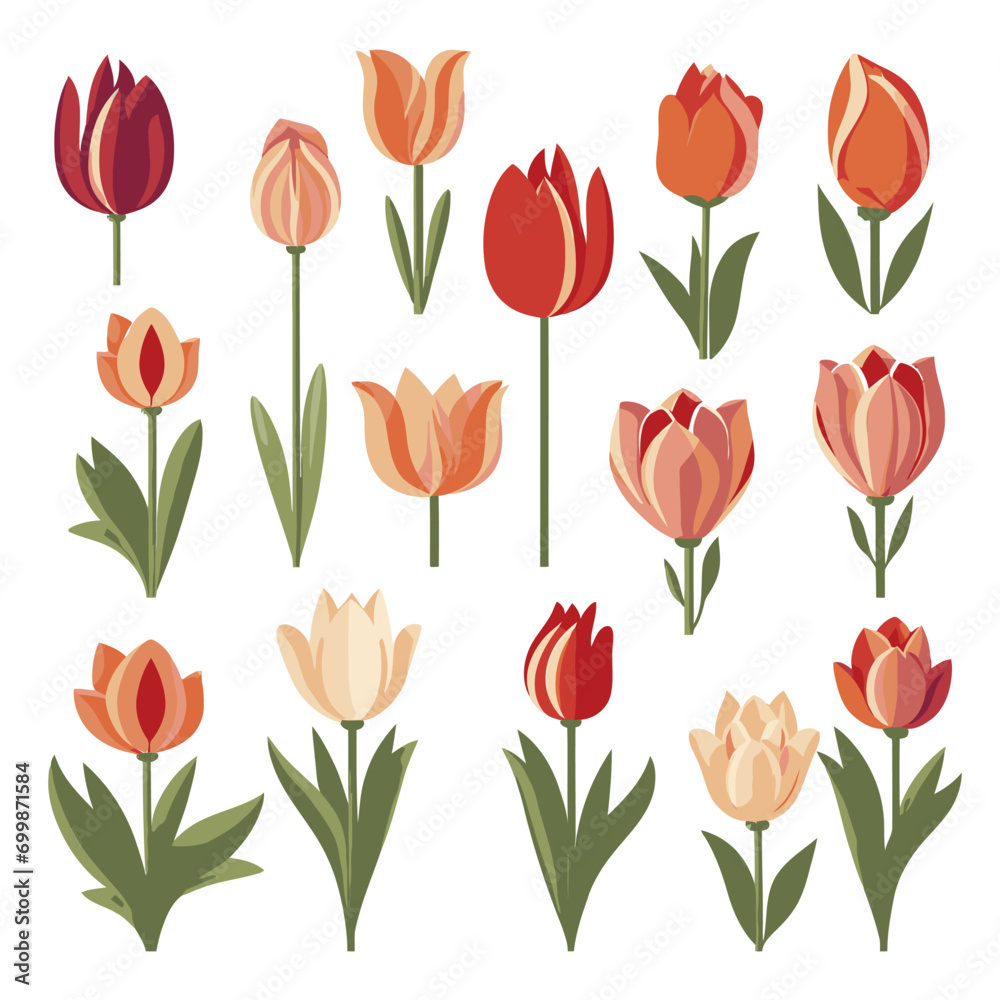 vector collection of tulip flowers vector collection of tulip flowers
