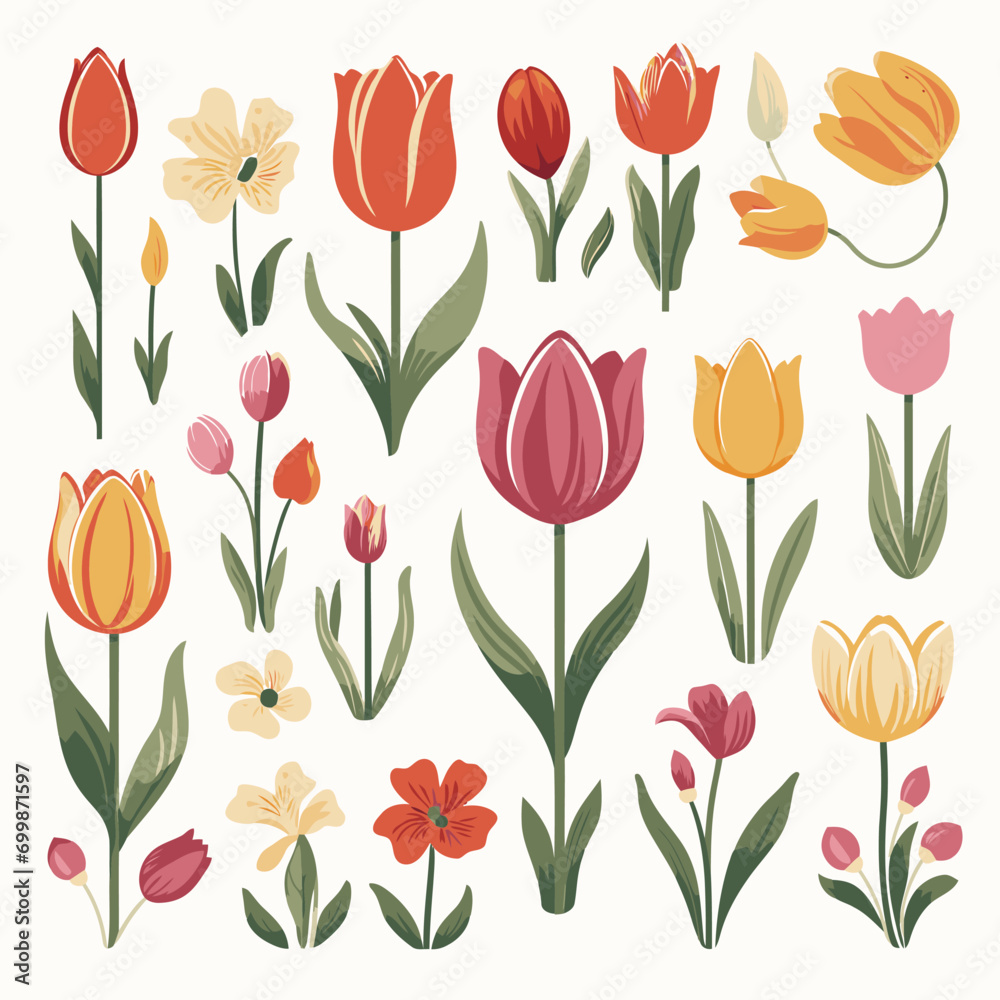 Obraz premium vector collection of tulip flowers