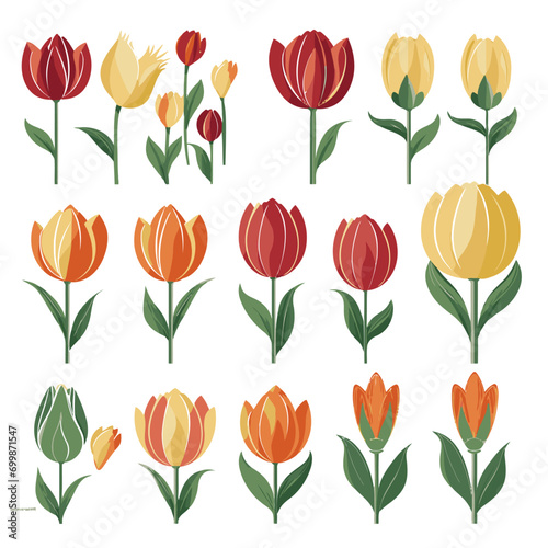 vector collection of tulip flowers