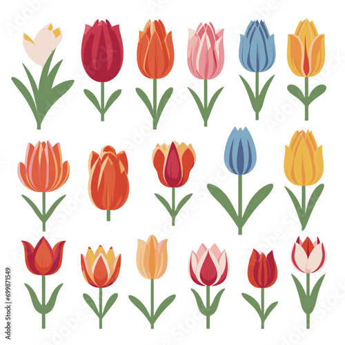 vector collection of tulip flowers