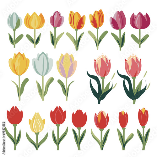 vector collection of tulip flowers