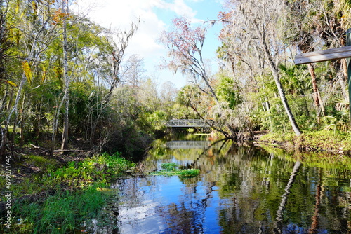 The winter landscape of Florida Trail  and Hillsborough river