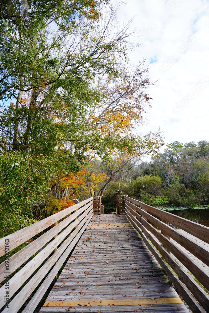 The winter landscape of Florida Trail The winter landscape of Florida Trail