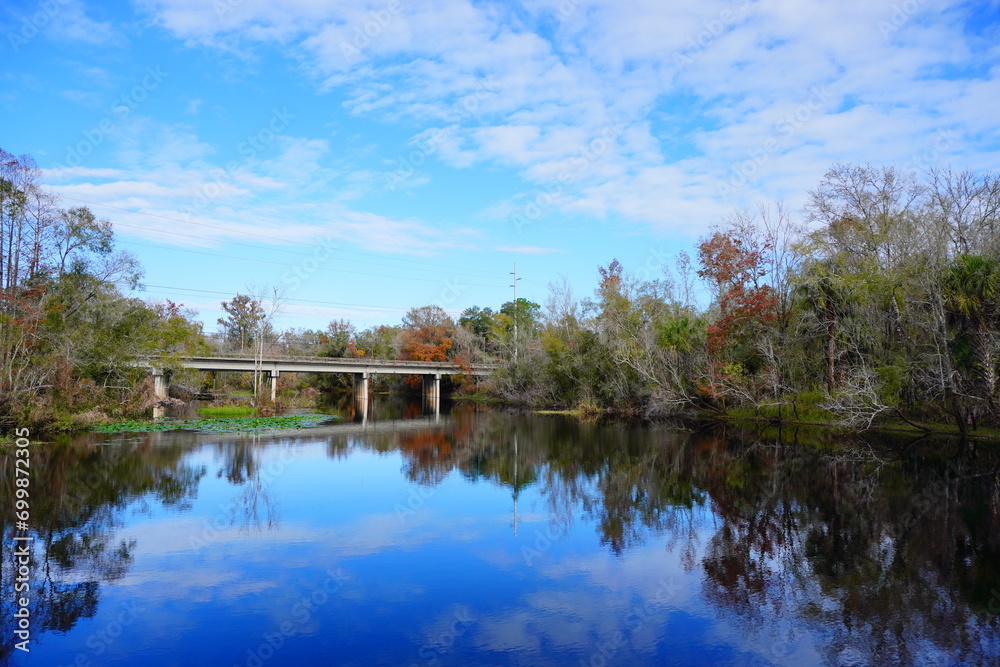 The winter landscape of Florida Trail	 and Hillsborough river
