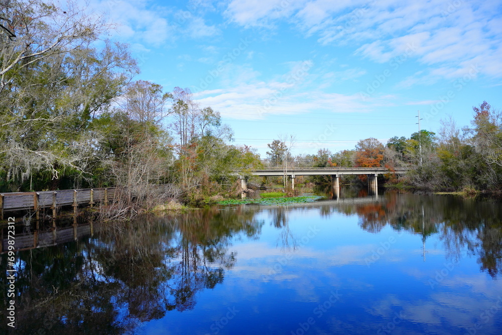 Fototapeta premium The winter landscape of Florida Trail 