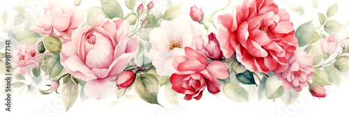 roses on a white background, picturesque watercolor painting photo
