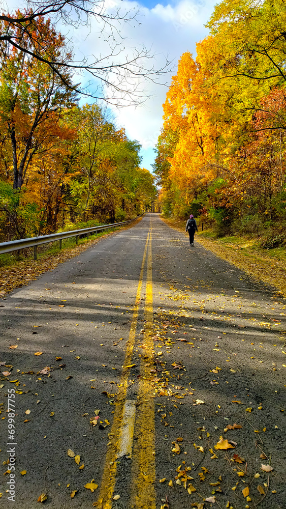 Obraz premium empty road in the autumn forest. Asphalt road with fallen leaves.