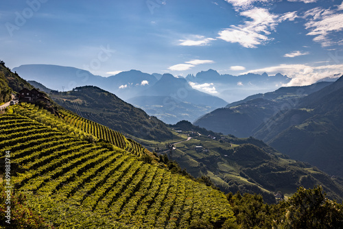 morgentlicher Ausblick auf die Südtiroler Bergwelt photo