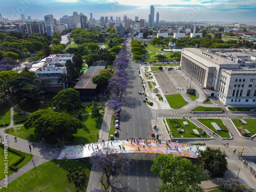 Flowering of jacaranda trees in Buenos Aires