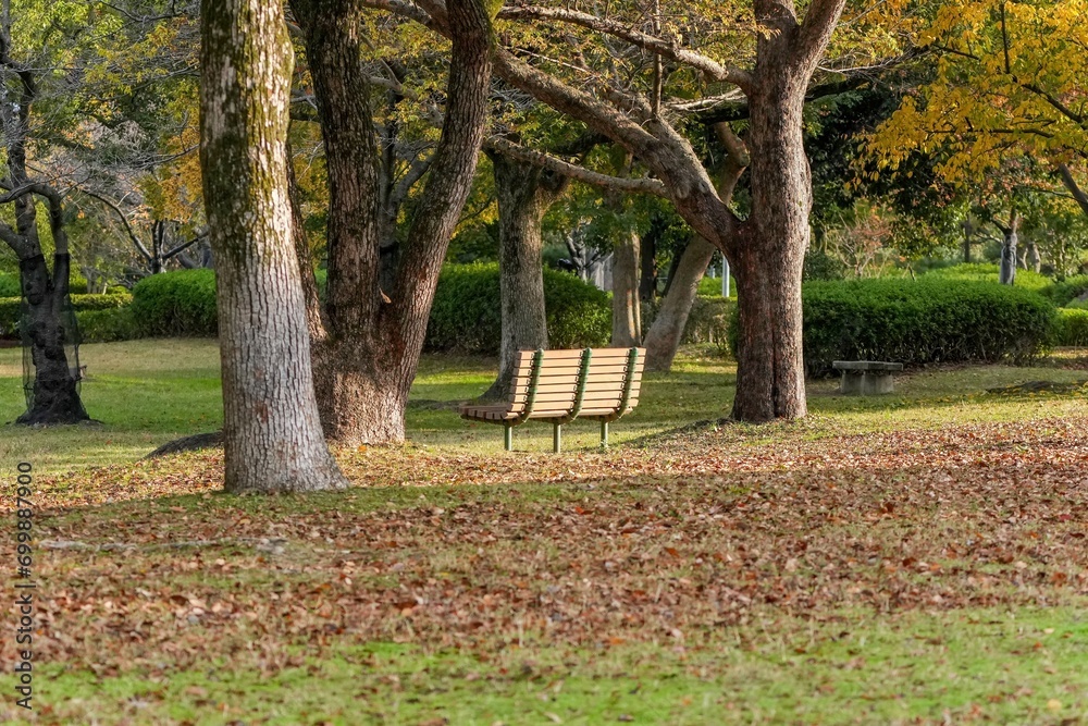 ロマンチックな雰囲気のベンチのある公園の情景