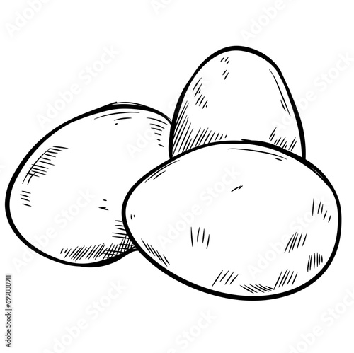 whole egg handdrawn