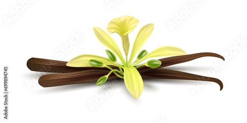 Vanilla Flower. Realistic food cooking condiment. Aromatic ingredient for cookery and sweet baking, vanilla sticks Isolated on white background. Design element packaging design. Vector illustration