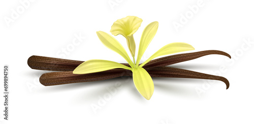 Vanilla Flower. Realistic food cooking condiment. Aromatic ingredient for cookery and sweet baking, vanilla sticks Isolated on white background. Design element packaging design. Vector illustration.