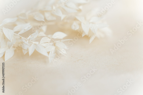 Soft Neutral Textured Floral Background With Copy Space