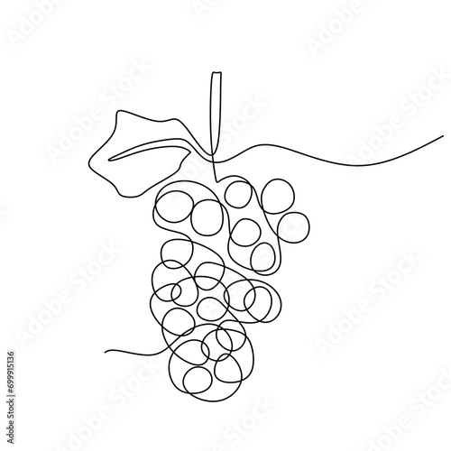 One line drawing grape fruits. Single outline organic nature food