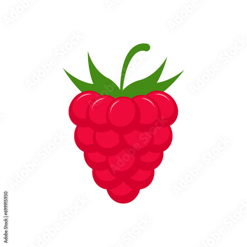 raspberry cartoon vector alphabet R fruit