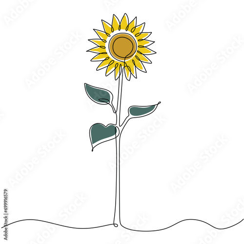 Line art sunflower flower. Continuous one single outline