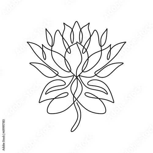 Lotus flower in continuous line art drawing