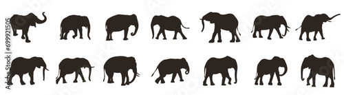 Elephant icons collection. Set of elephant silhouettes in different poses of Africans elephant or jungle elephant and asian elephant with big ears - vector illustration photo